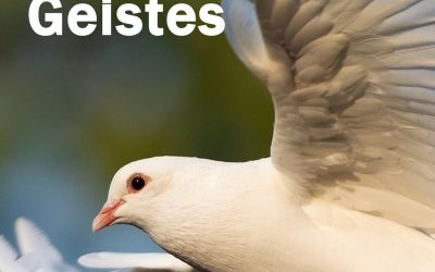 Ab 31.10. Gemeindetraining: Leben in der Kraft des Geistes